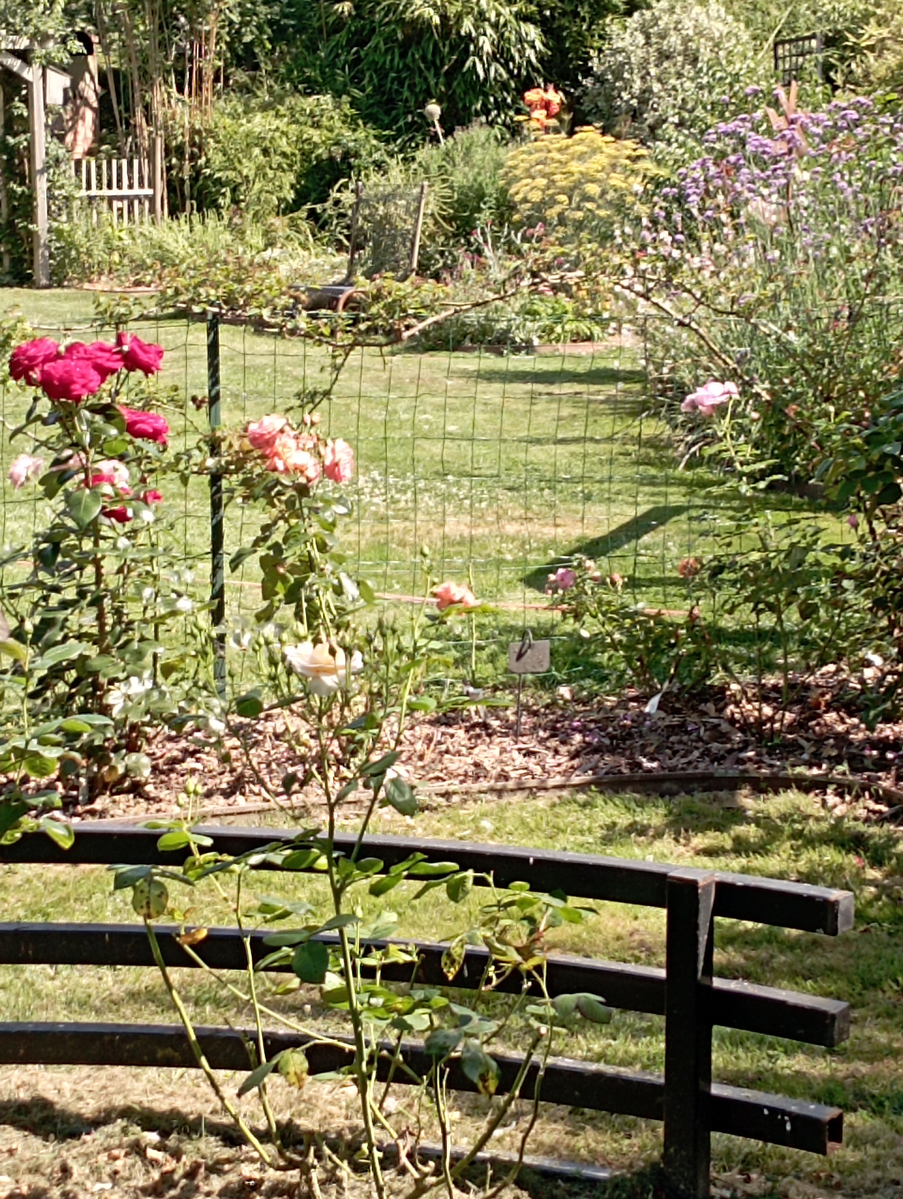 Visite des jardins flore animale