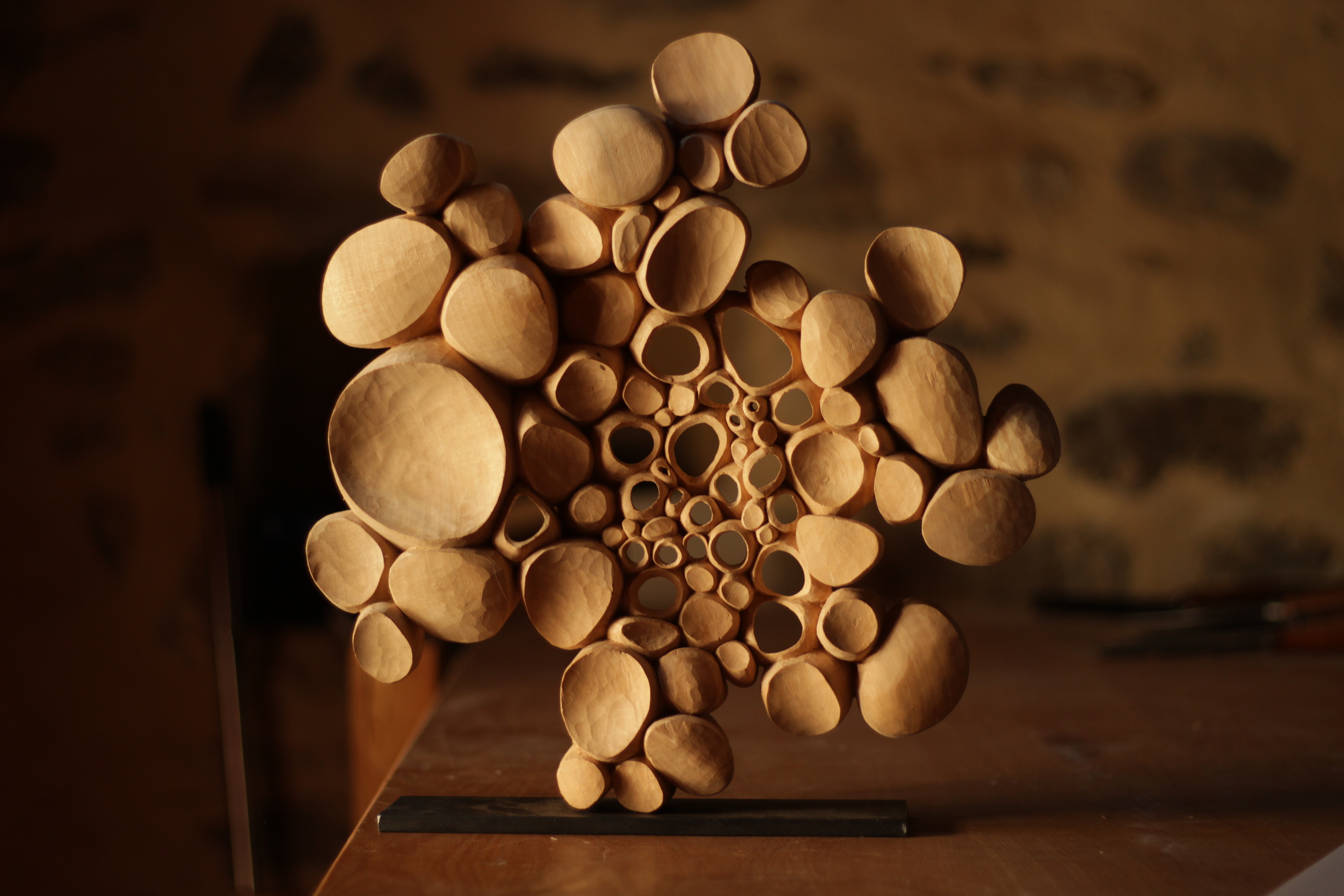 EXPO | Cellules de Matière