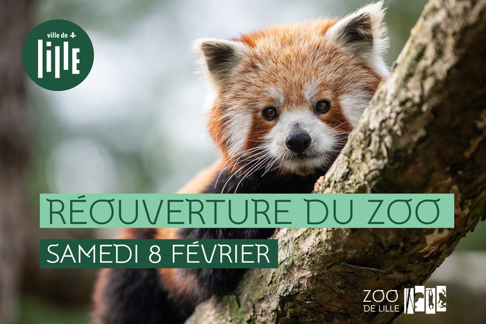 Réouverture du zoo samedi 8 février ! Du 8 au 9 fév 2025