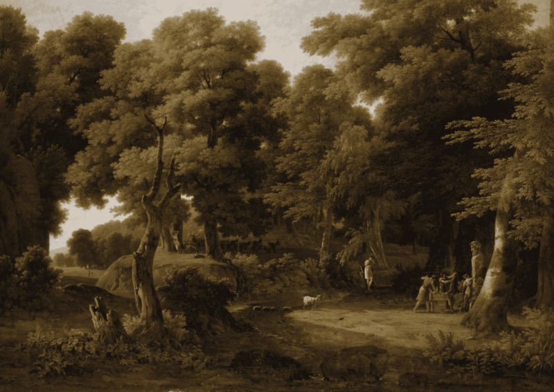 Visite Fenêtre sur la nature