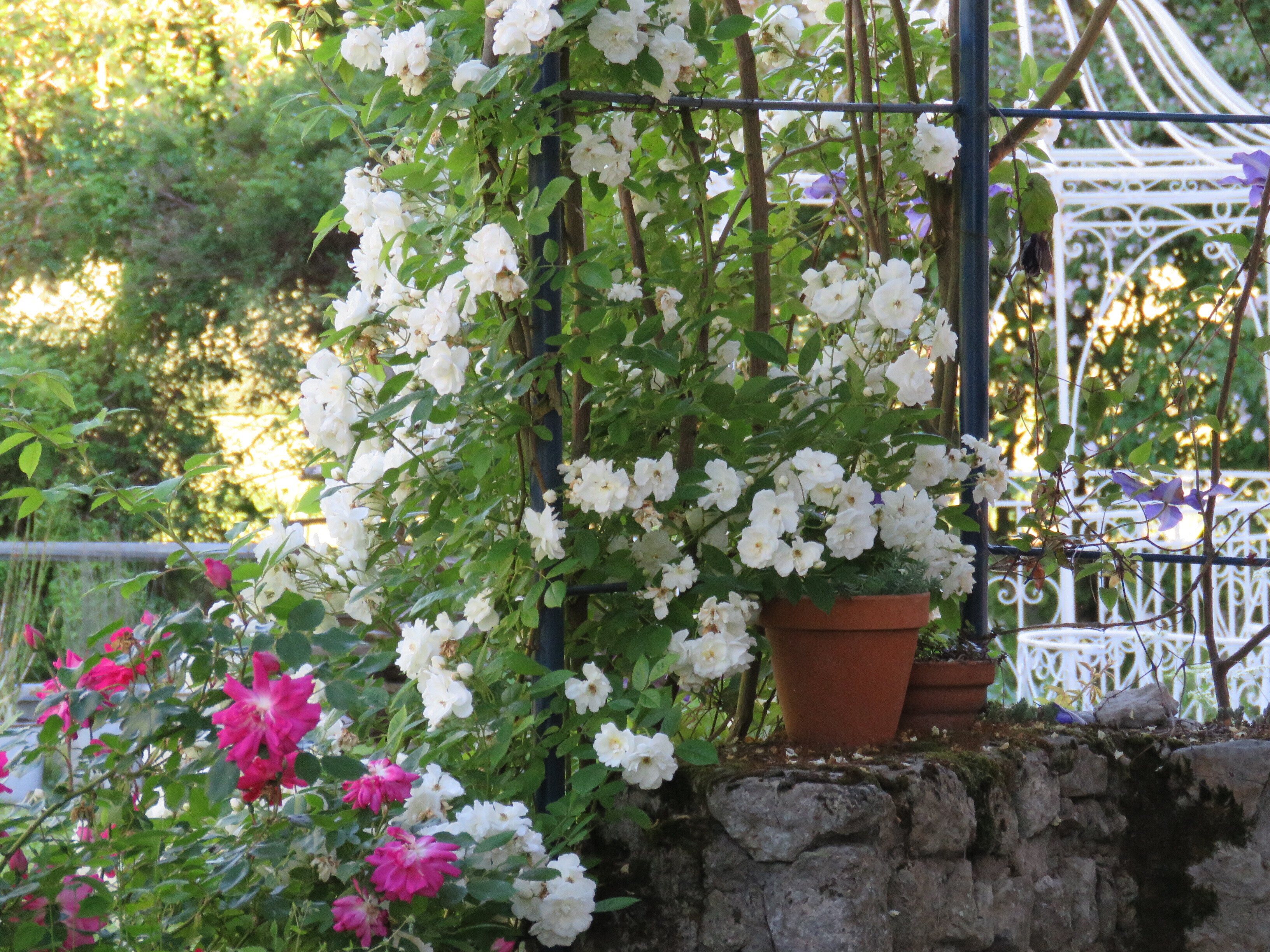 Visite du jardin