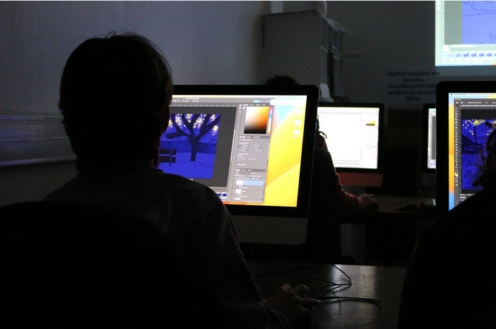 Stage adulte - Illustrator