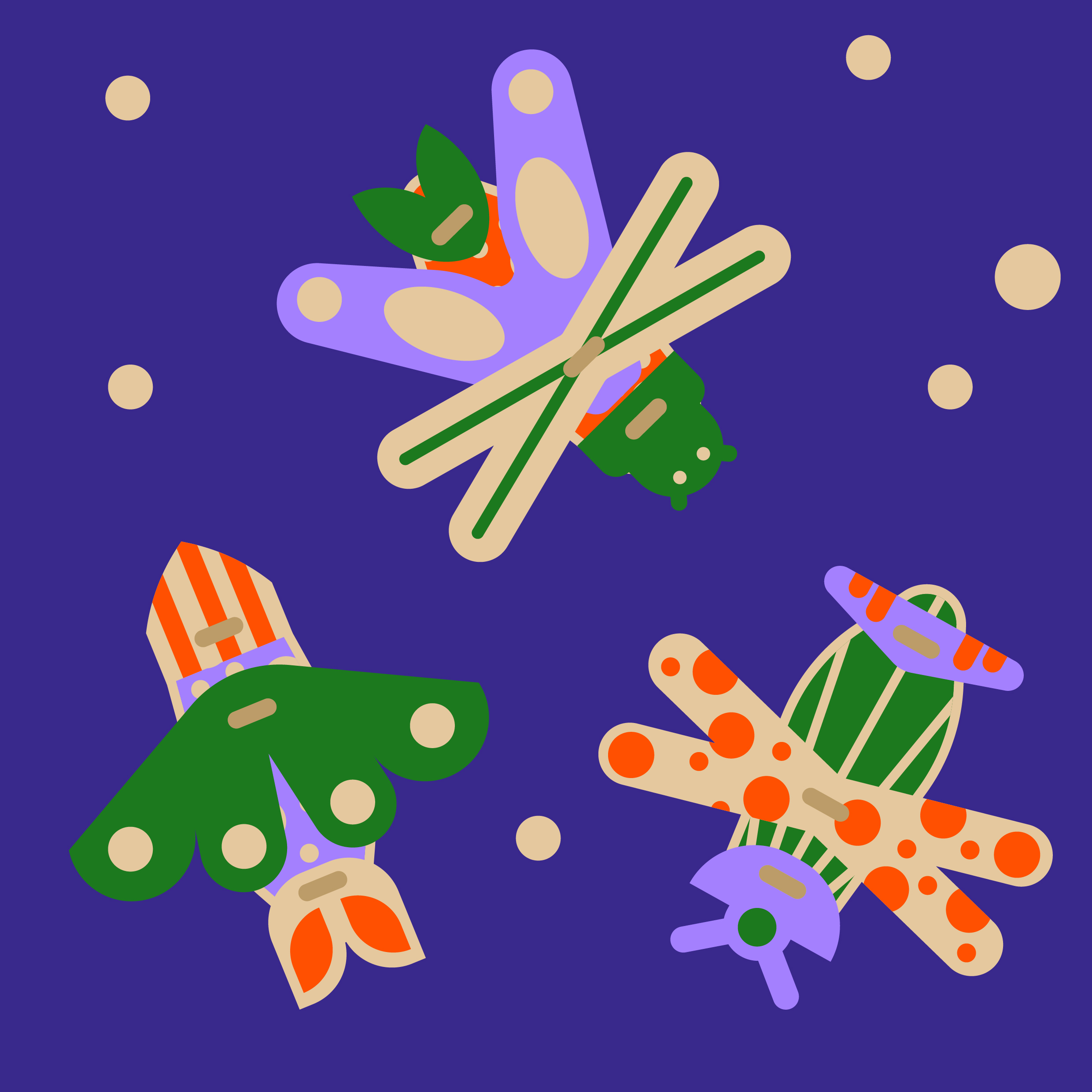 Conférence atelier sur le biomimétisme - Samedi 13 juin