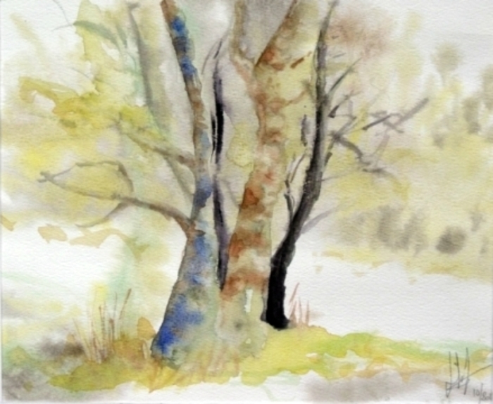 Initiation à l'aquarelle