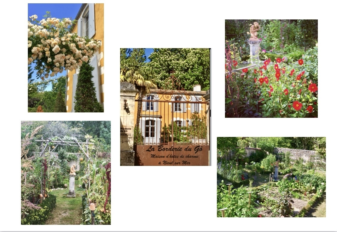 Découverte des jardins secrets d'une maison d'armateur Rochelais