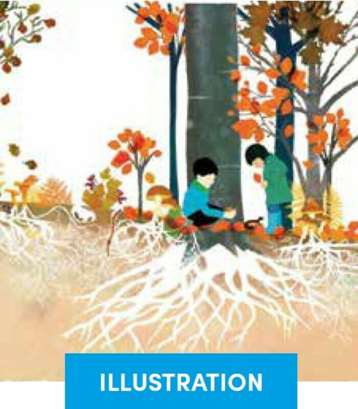 Forêt sauvage Emmanuelle Houssais