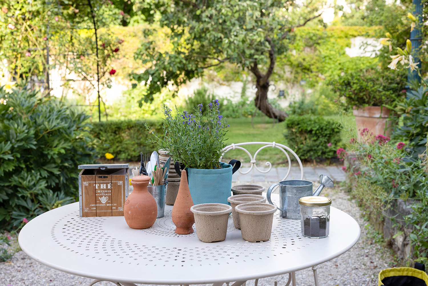 Atelier Potager de balcon