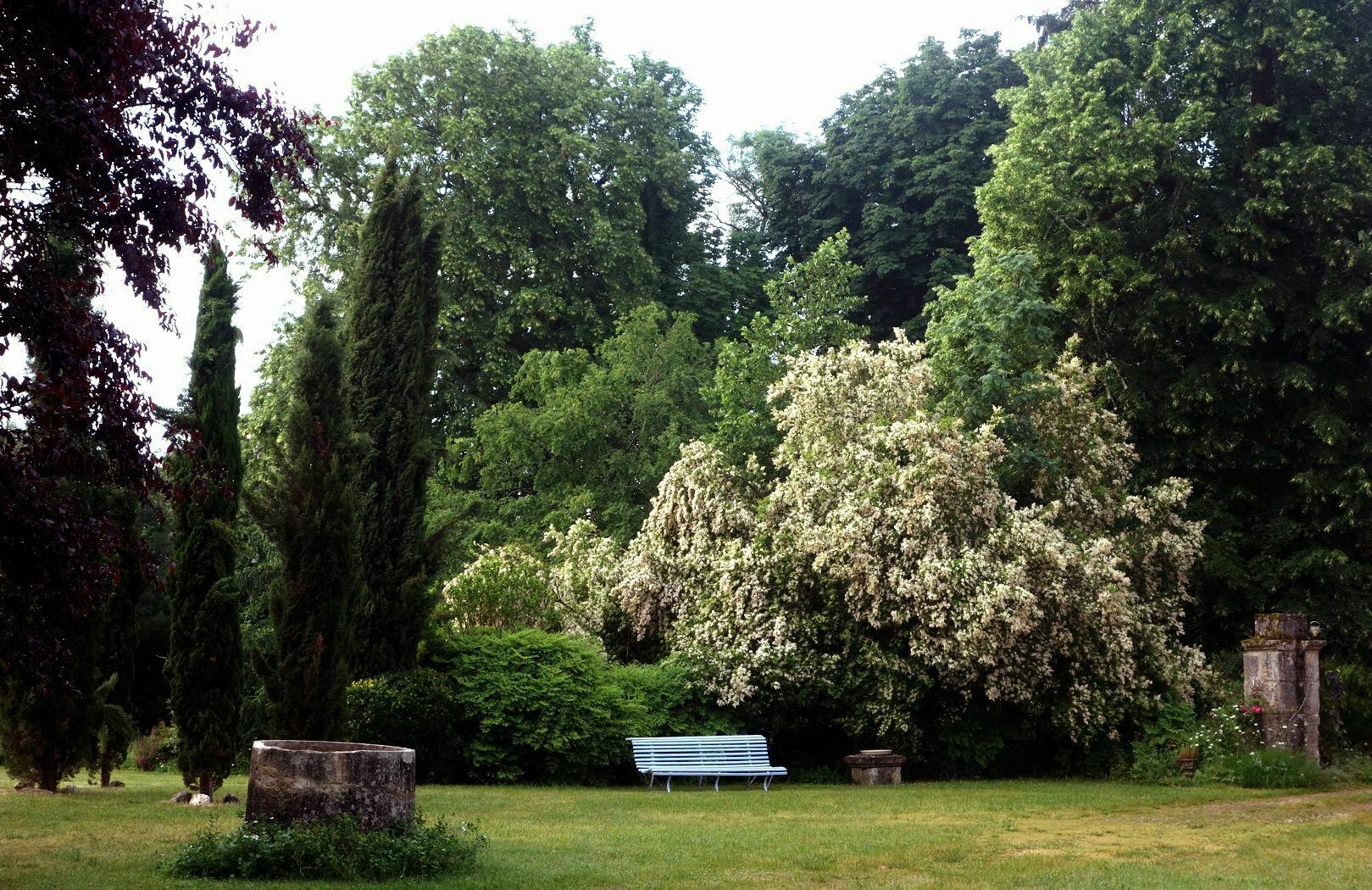 Visite commentée d'un jardin-arboretum en Périgord vert