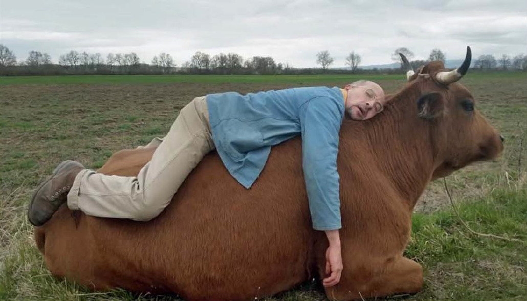 Le Ciné Kino d'ARTMELE présente "La vache"
