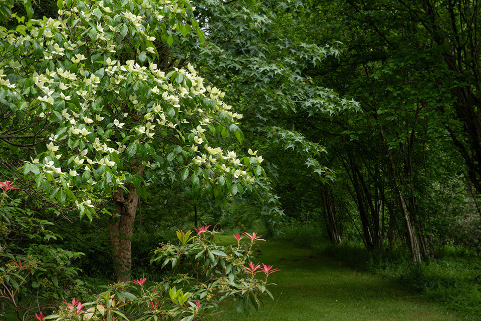 visite decouverte du jardin arboretum