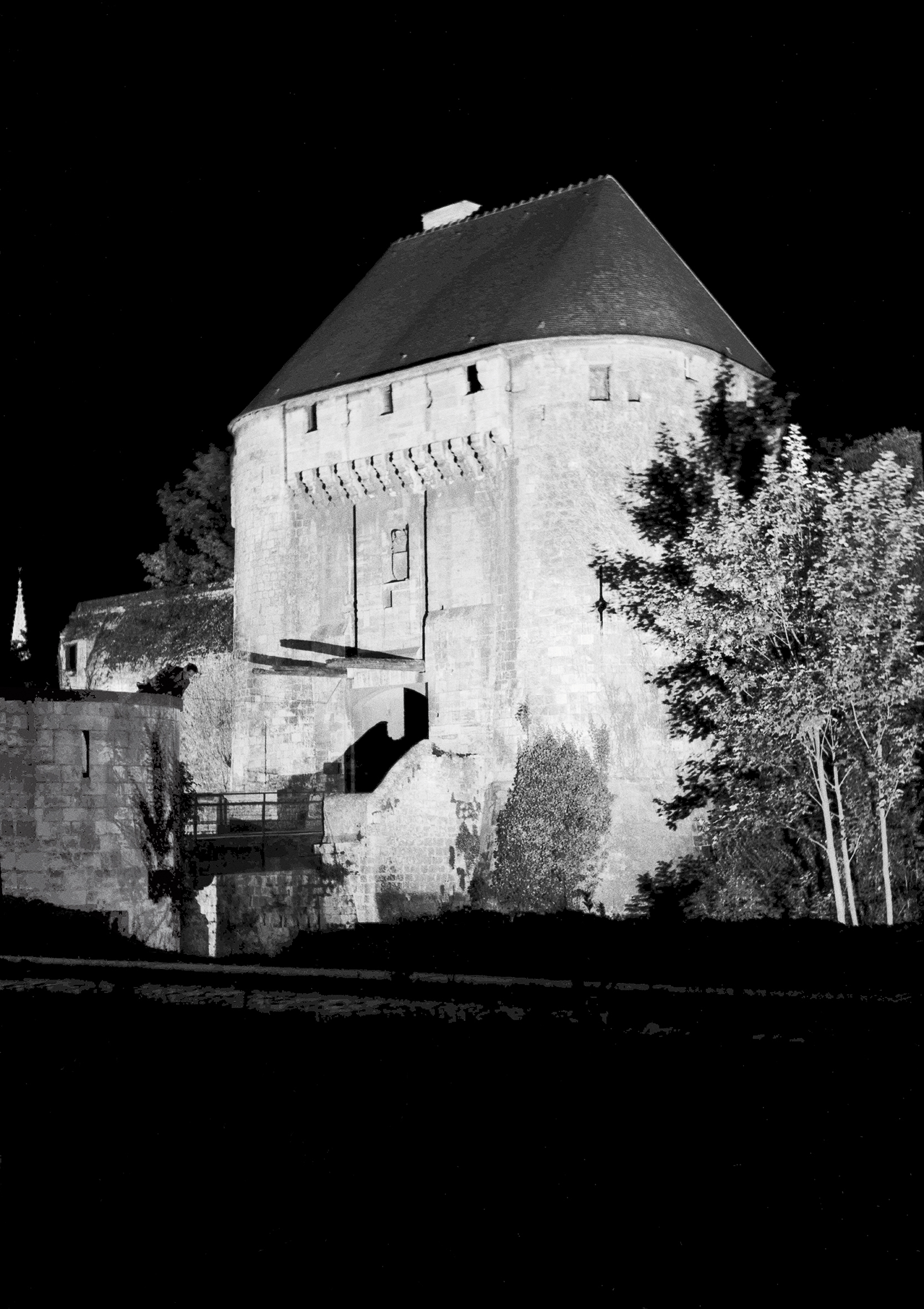 Visite guidée de l'exposition "Le château des photographes"