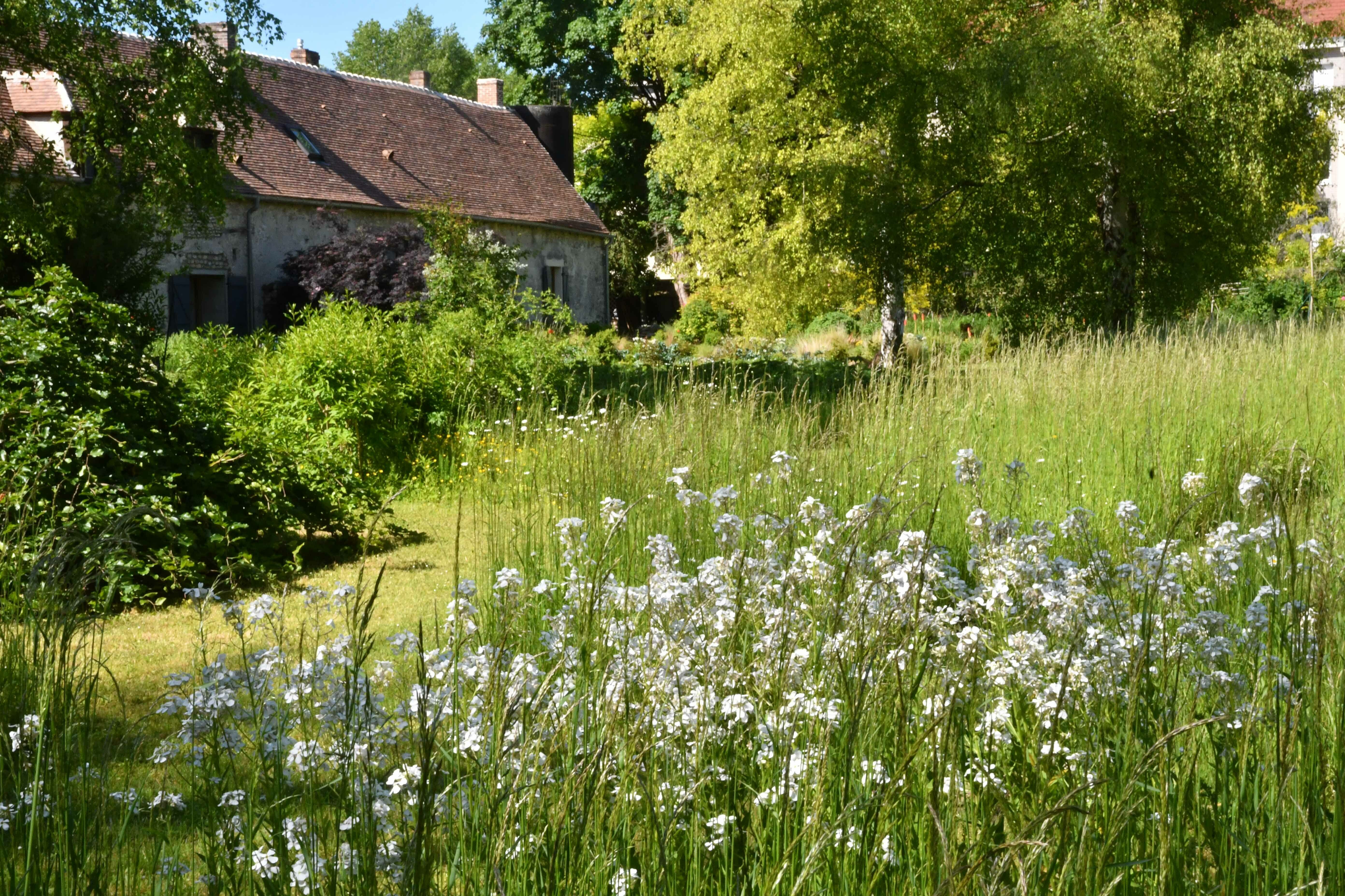 Visite commentée pour scolaires accompagnés d’un jardin préservant la biodiversité
