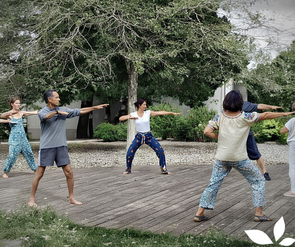 Qi Gong en plein air : relaxation en mouvement et étirements doux