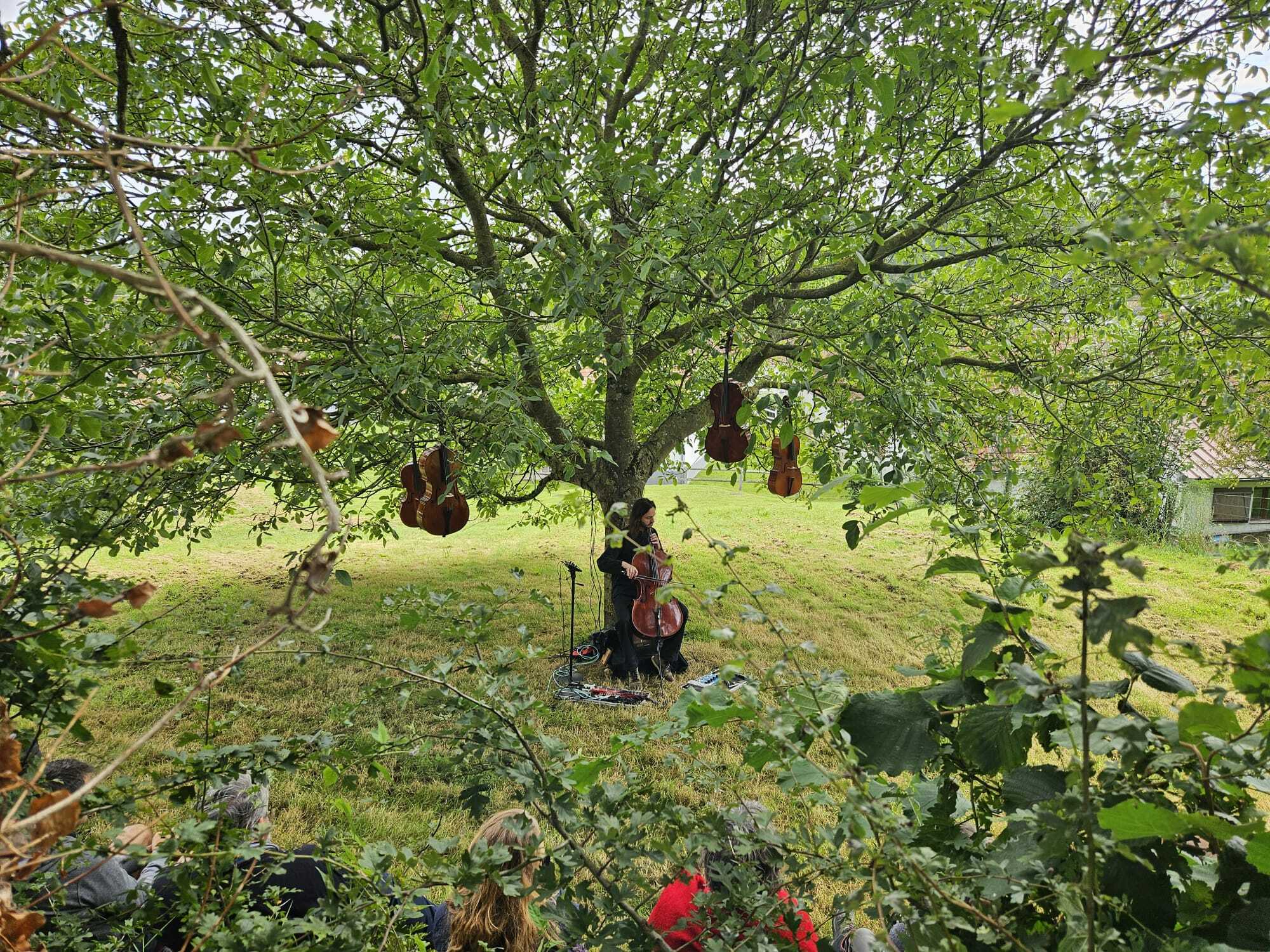 Pause nature au fil de l'eau : balades musicales