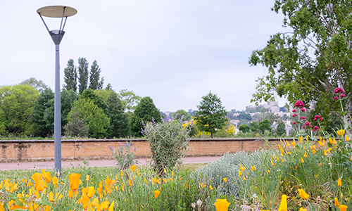 Visite : Parc de  Gerland