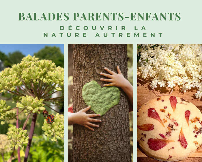 Dans le cadre de Nuits des Forêts : balade Parents-Enfants : 