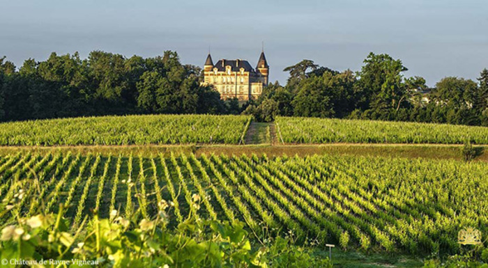 Dans les Châteaux du Sauternes