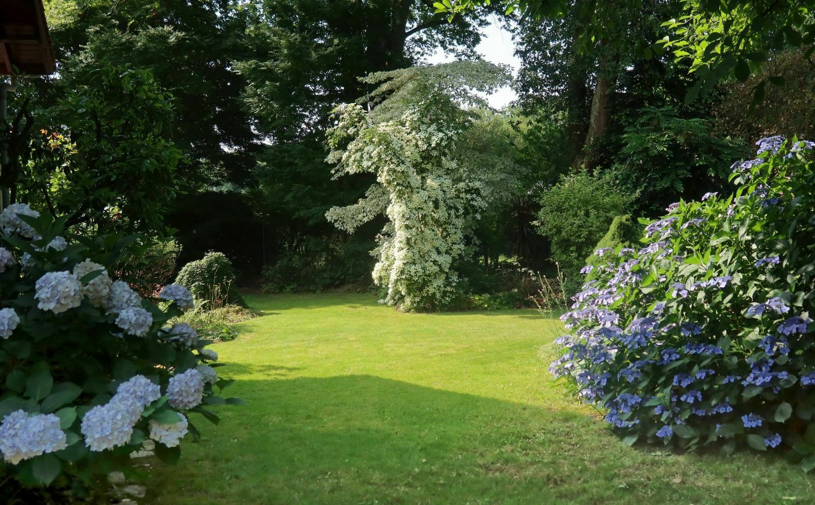 Découverte de l'univers des acers