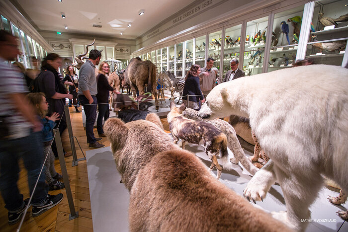 Muséum d'histoire naturelle