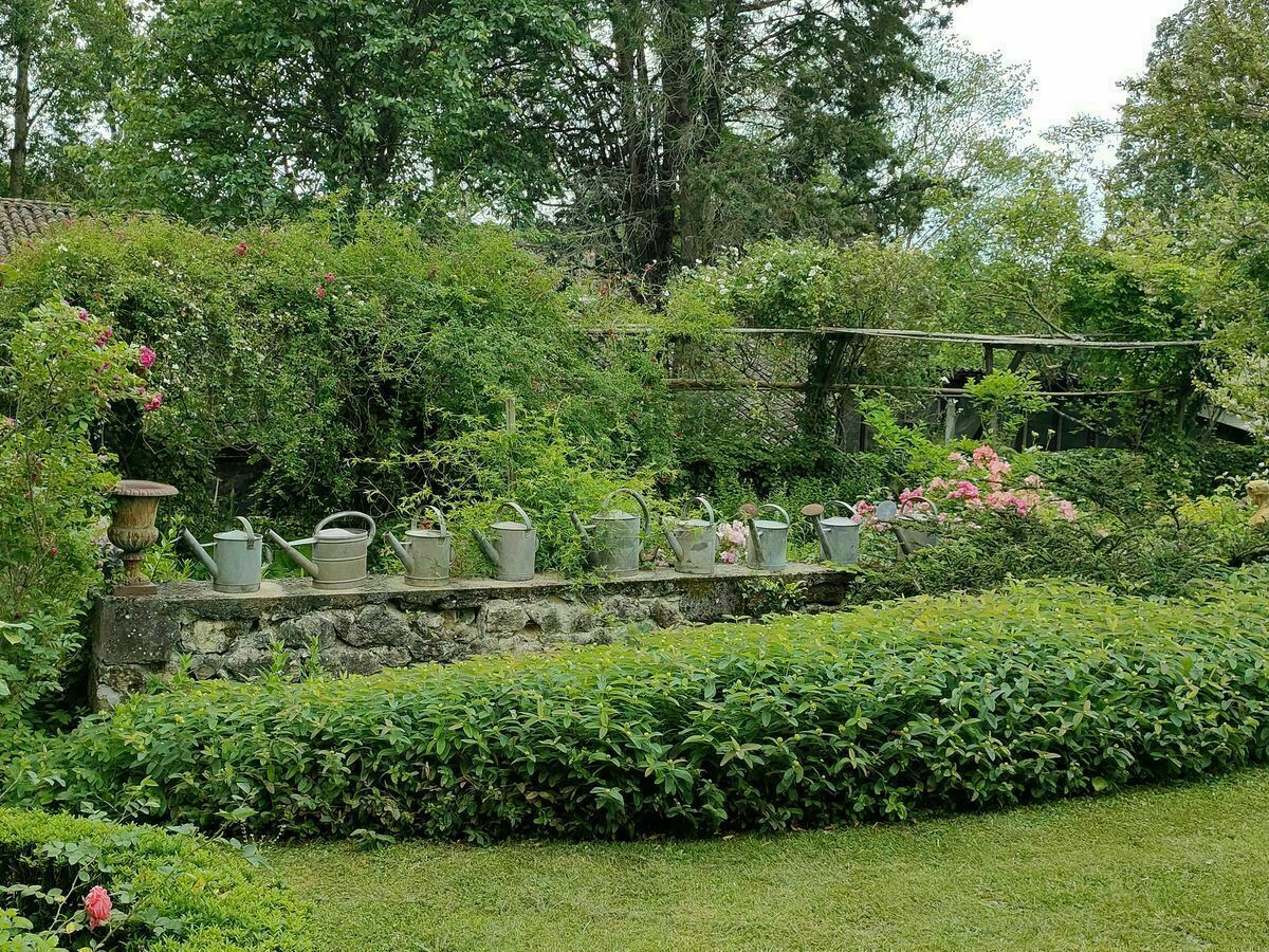 Découverte et promenade dans le jardin