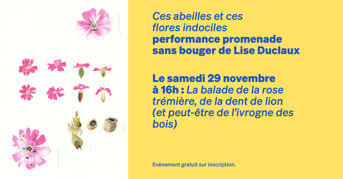 Performance promenade sans bouger de Lise Duclaux