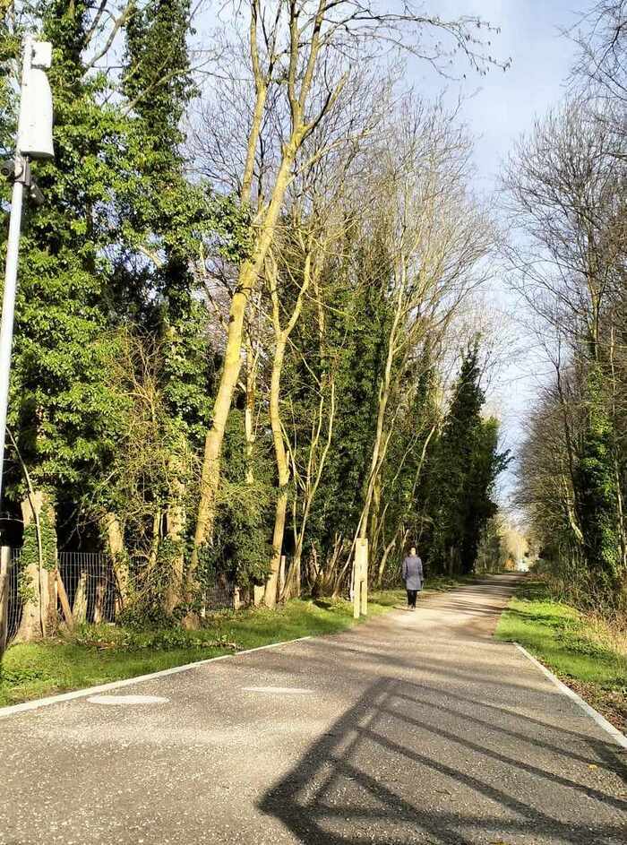 Voie verte à Tourcoing