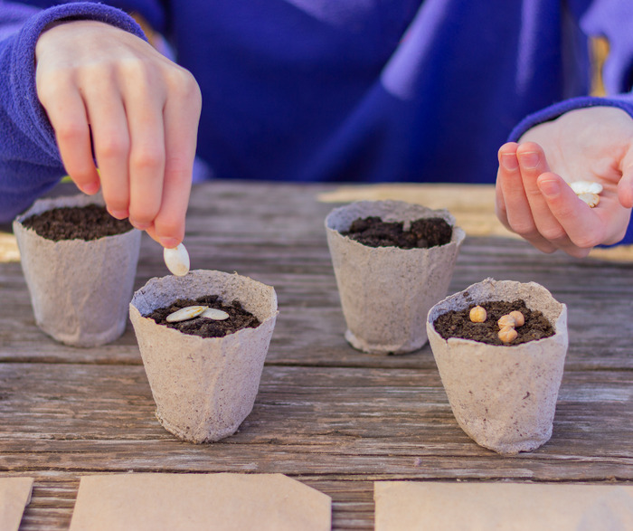 Créer un potager en pot