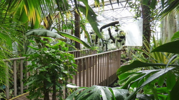Les serres du Jardin botanique