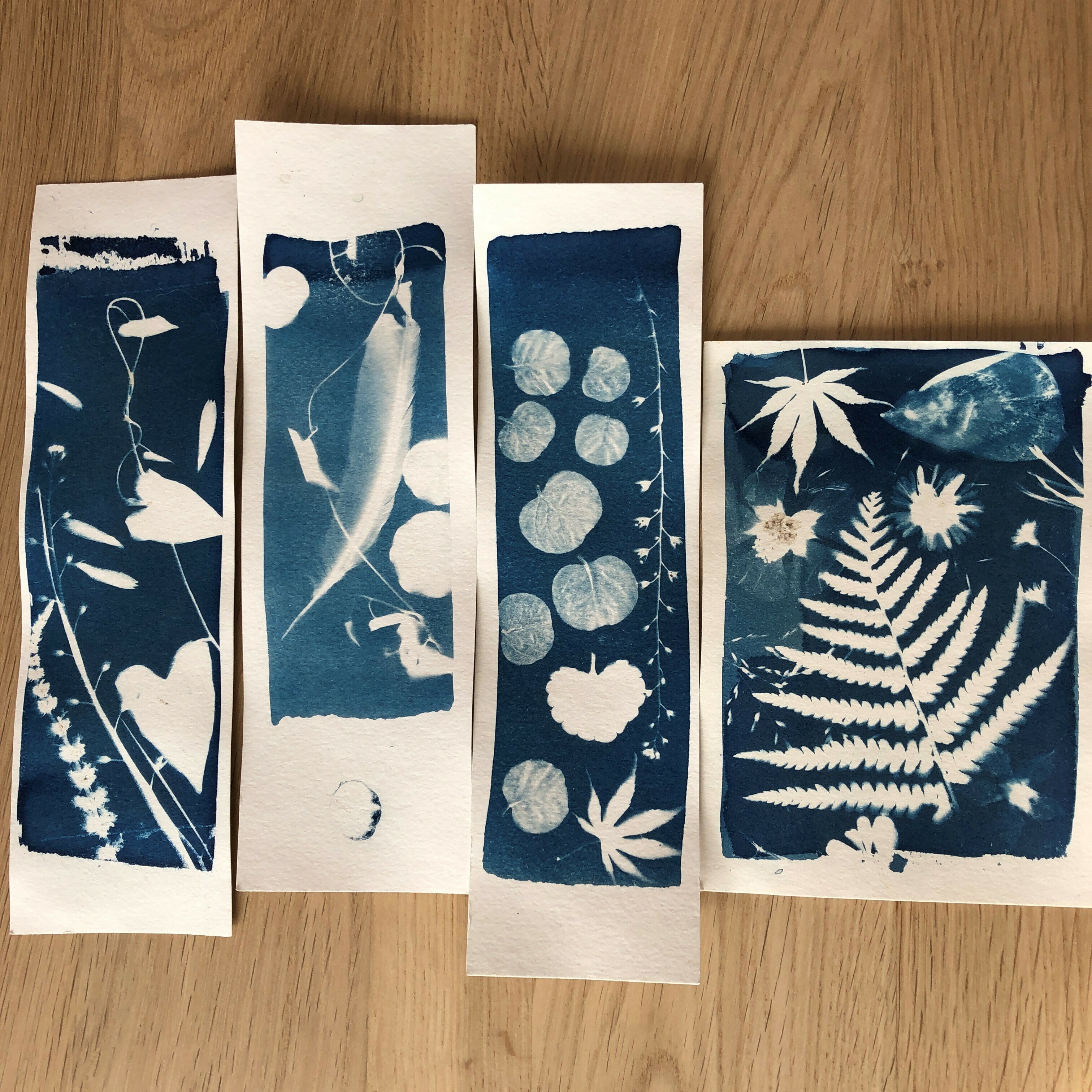 Atelier cyanotype : le petit peuple du jardin