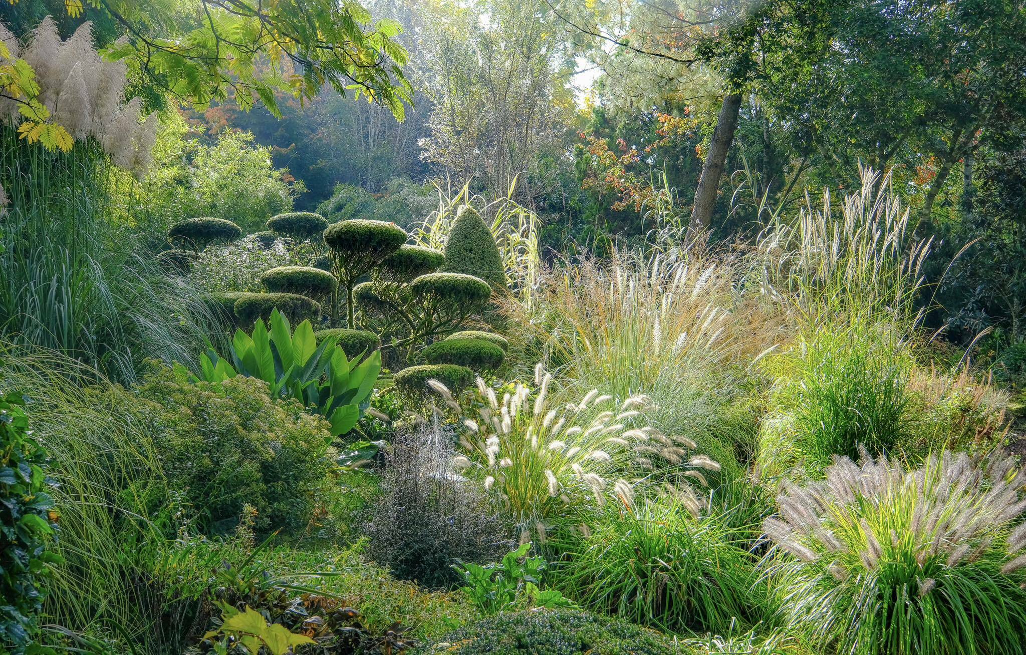 Visite libre du Jardin de Planbuisson