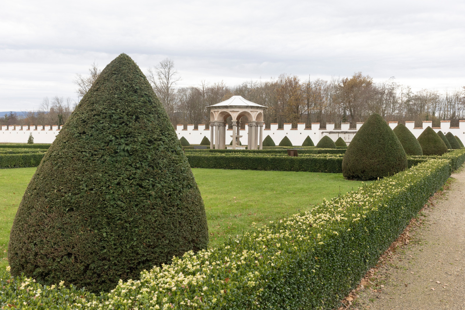 Rencontre avec le jardinier - D'un buis à l'autre, conversation entre lames et feuillages