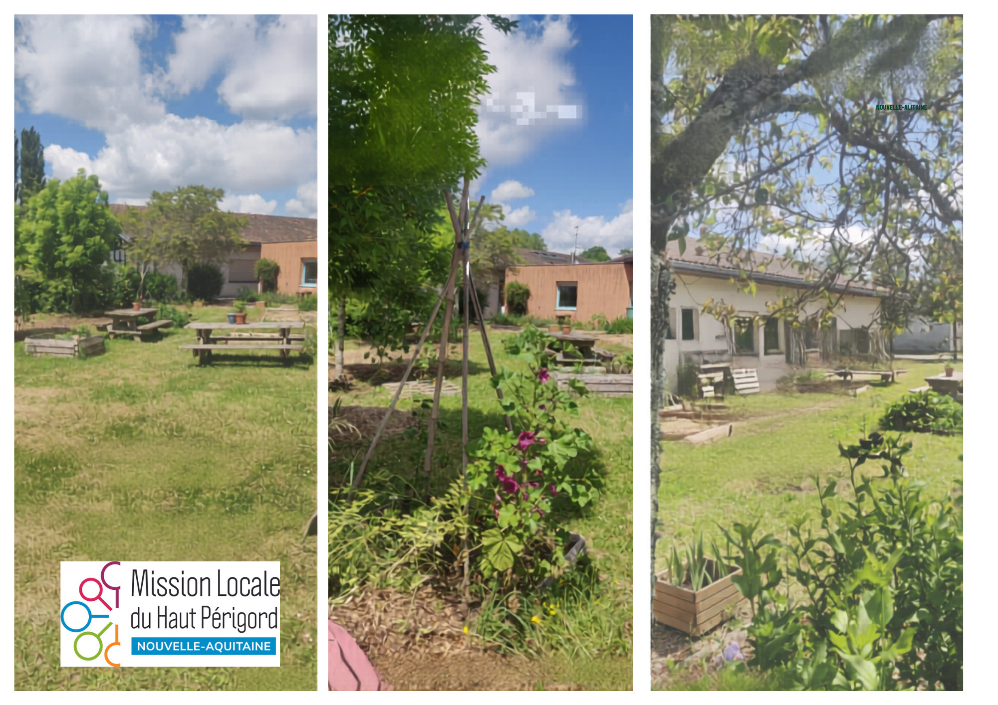 Visite découverte du jardin de la Mission Locale
