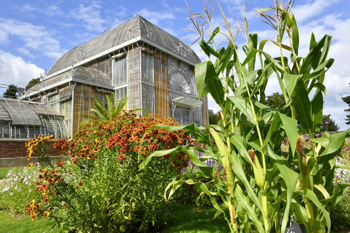 Jardin des Plantes