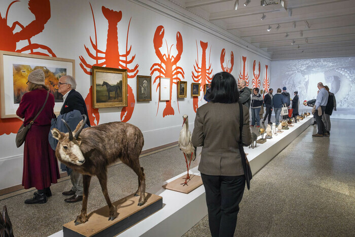 Exposition Observatoires. Carte blanche à John M Armleder