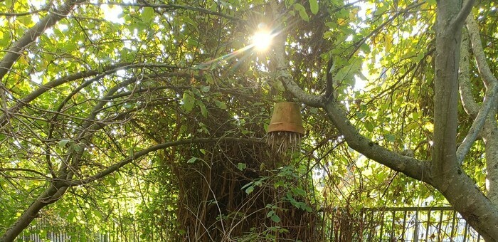 Visite des trois jardins naturels