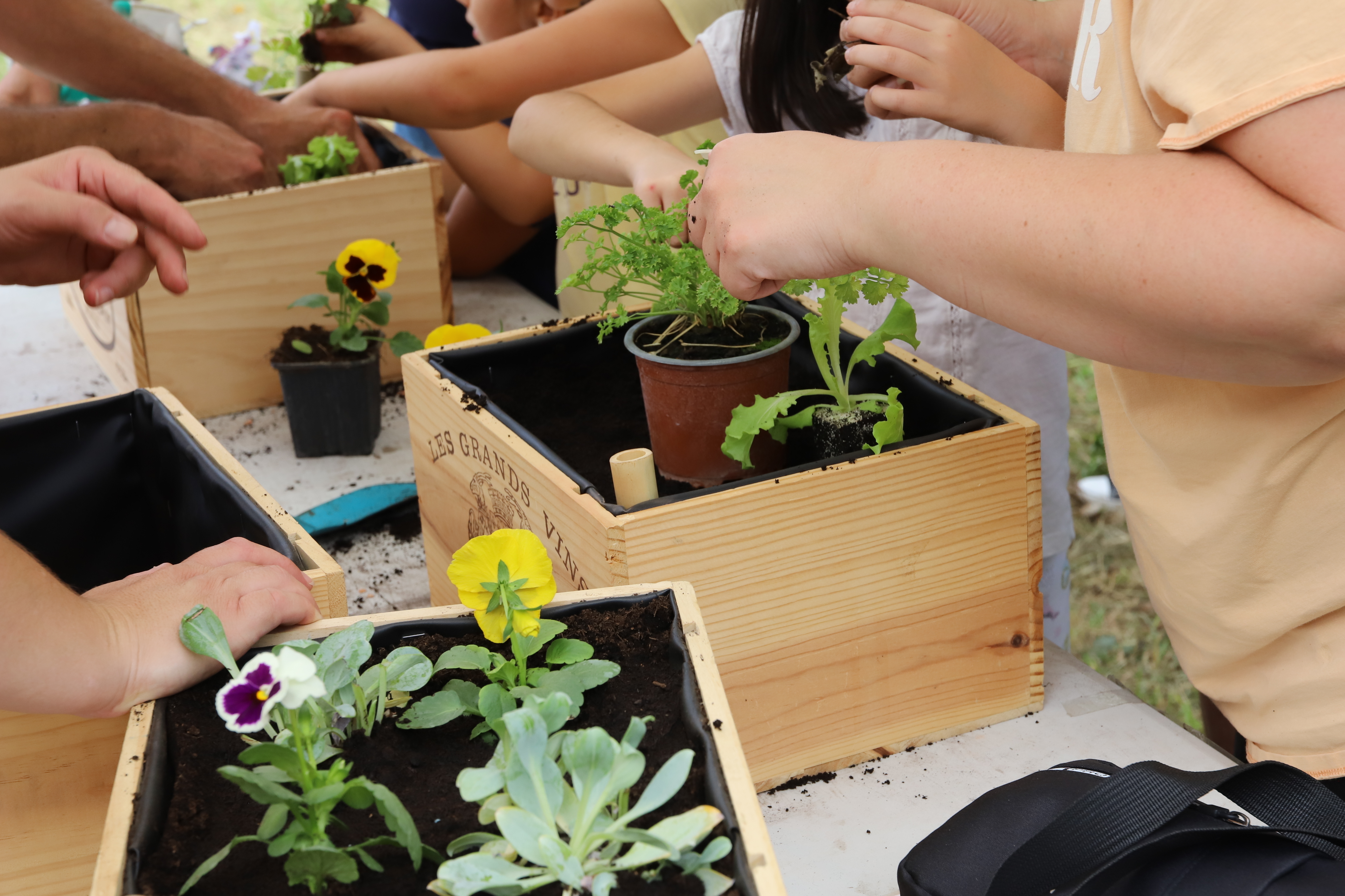 Atelier jardinage