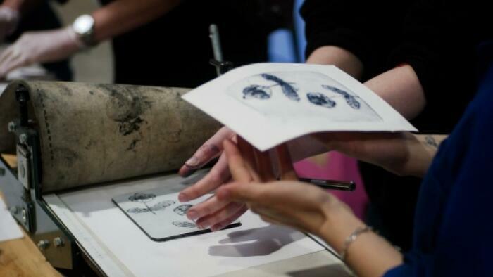 Botanique méditerranée