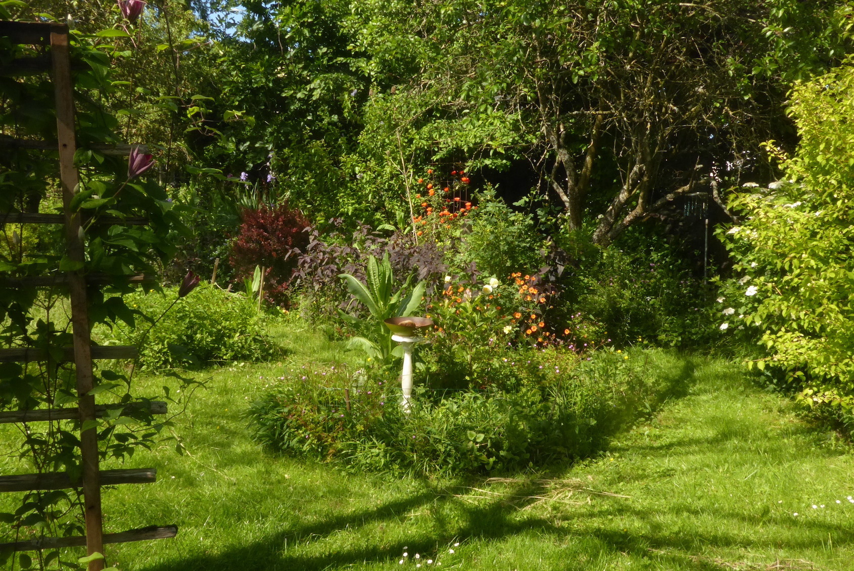 Pratiques de restauration de la biodiversité : le cas d'un jardin particulier