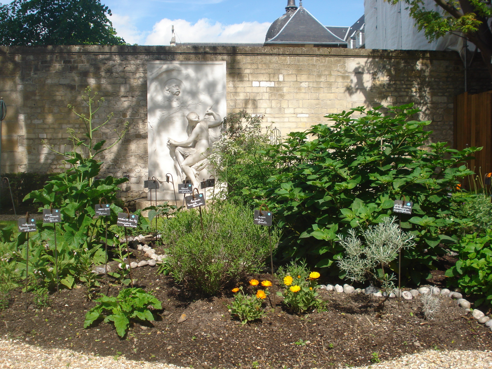 Visite libre du jardin du musée