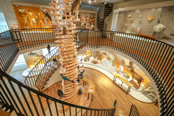Muséum d'histoire naturelle