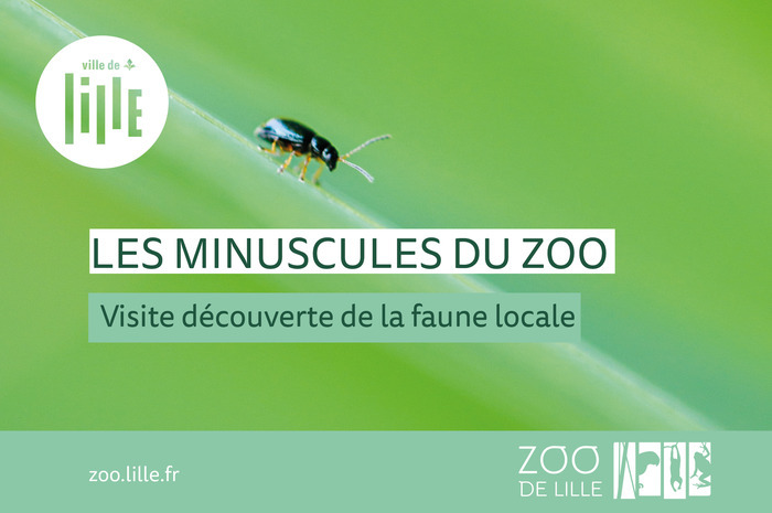 Les minuscules du zoo