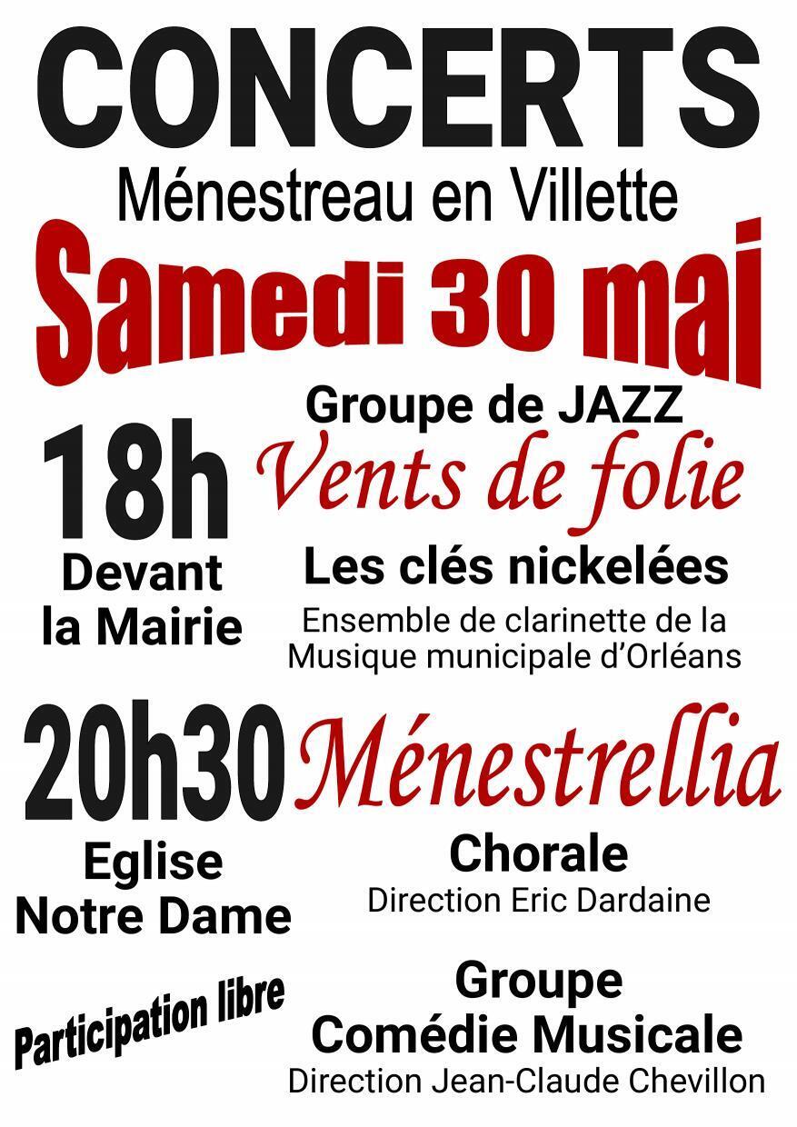 Soirée musicale à Ménestreau-en-Villette