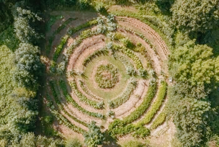 Le jardin comme point de vue – Les Jardins de Jammes
