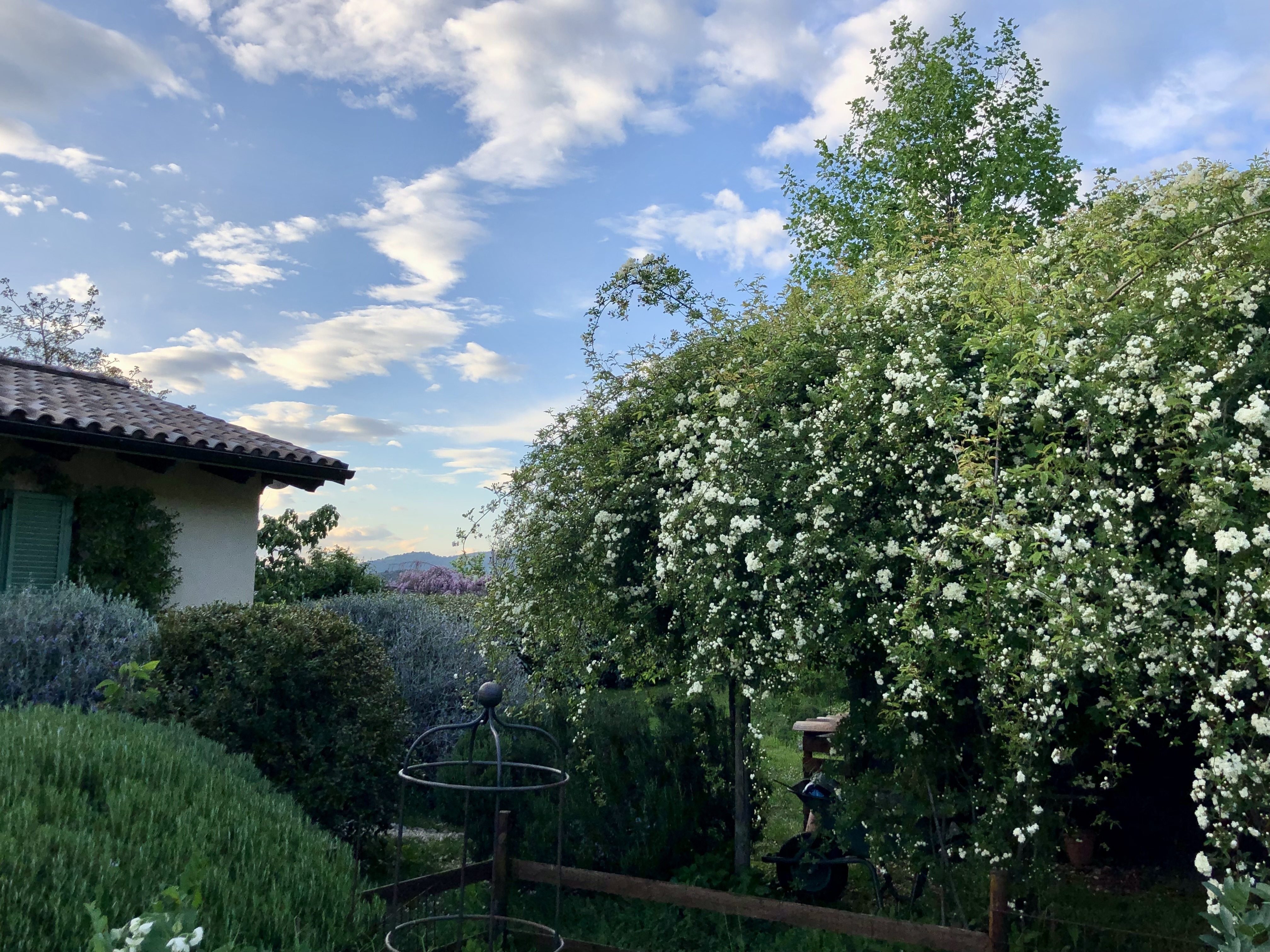 Au-delà des jardins - Visite guidée du jardin de Fontevecchia - Montasola