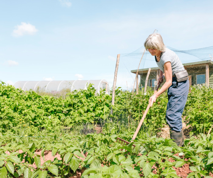 Aperitifs conferences – The life of a permaculture market gardener in the Heron area