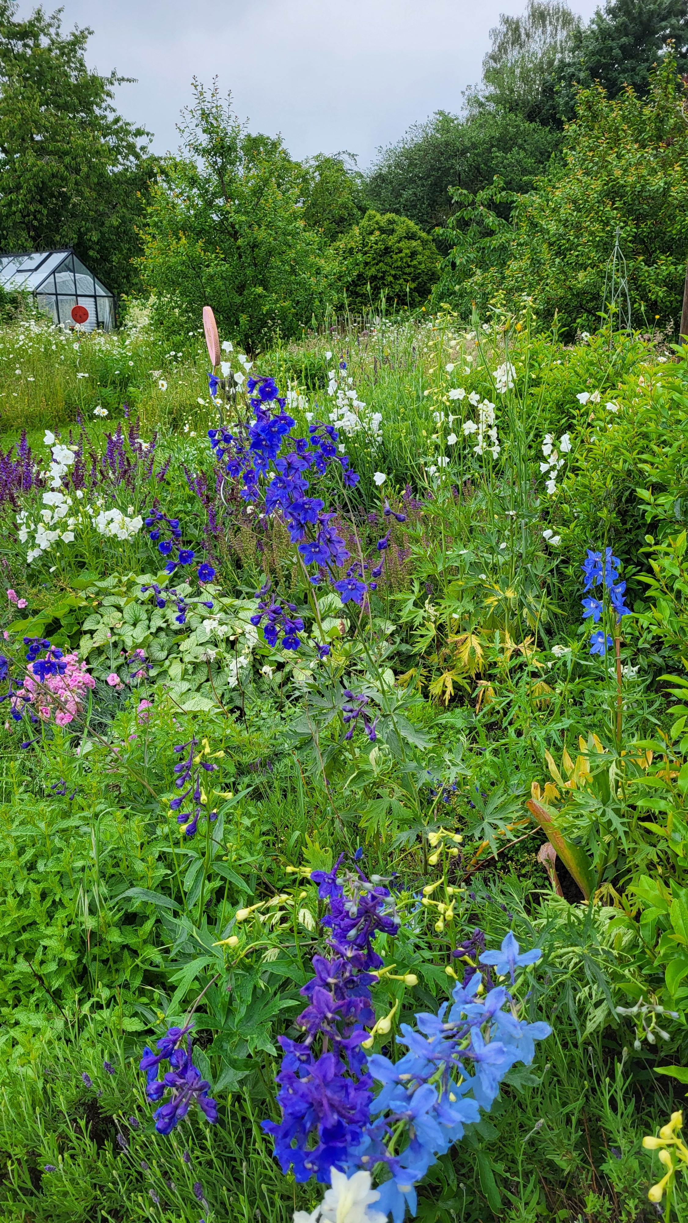 La grande vue dans le jardin pour tous. Un regard sur les jardins des professionnels