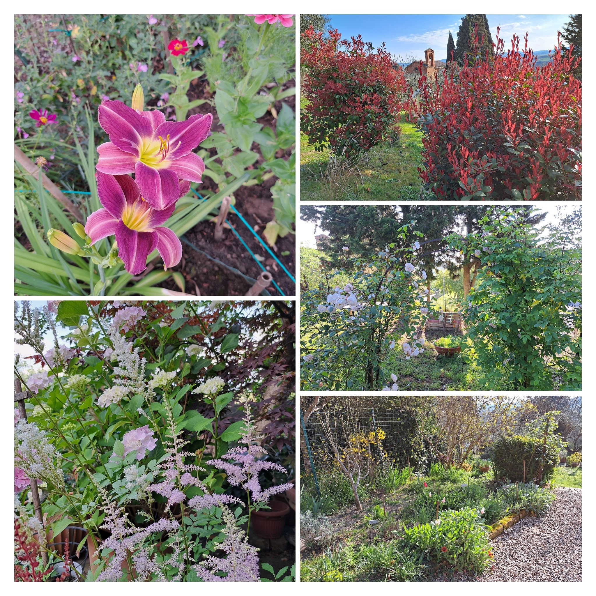 Promenade dans le jardin de campagne à San Giovanni d’Asso