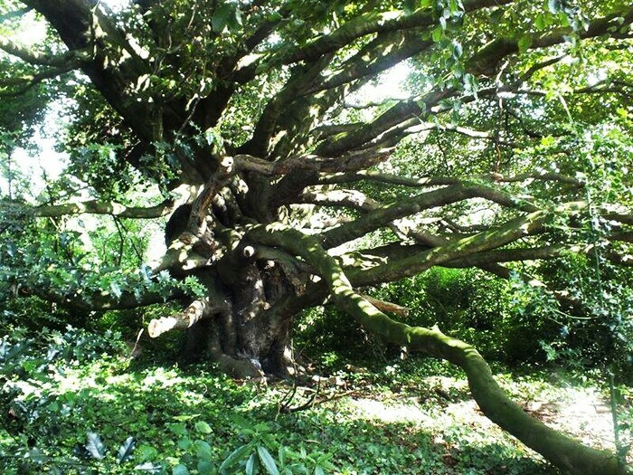 Week-end Nature, couture et boutures : Un jardin pour rencontrer la nature à Roubaix