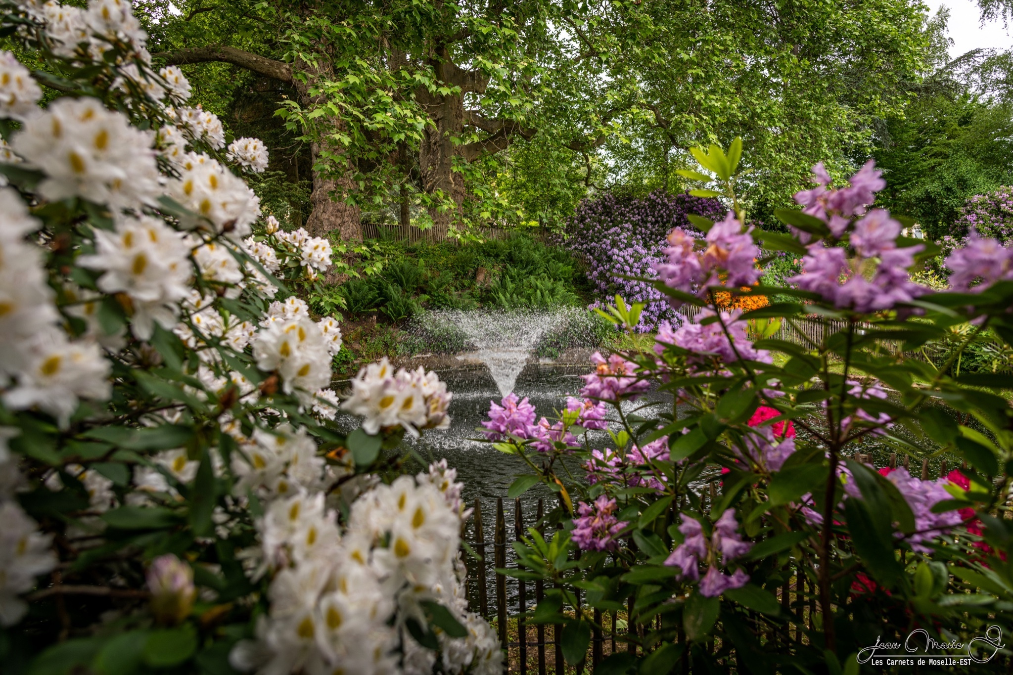 Visite historique et sensible d'un jardin à l'anglaise