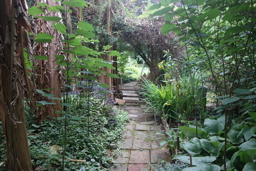 Visite d'un jardin naturel et son potager en Tarn et Garonne